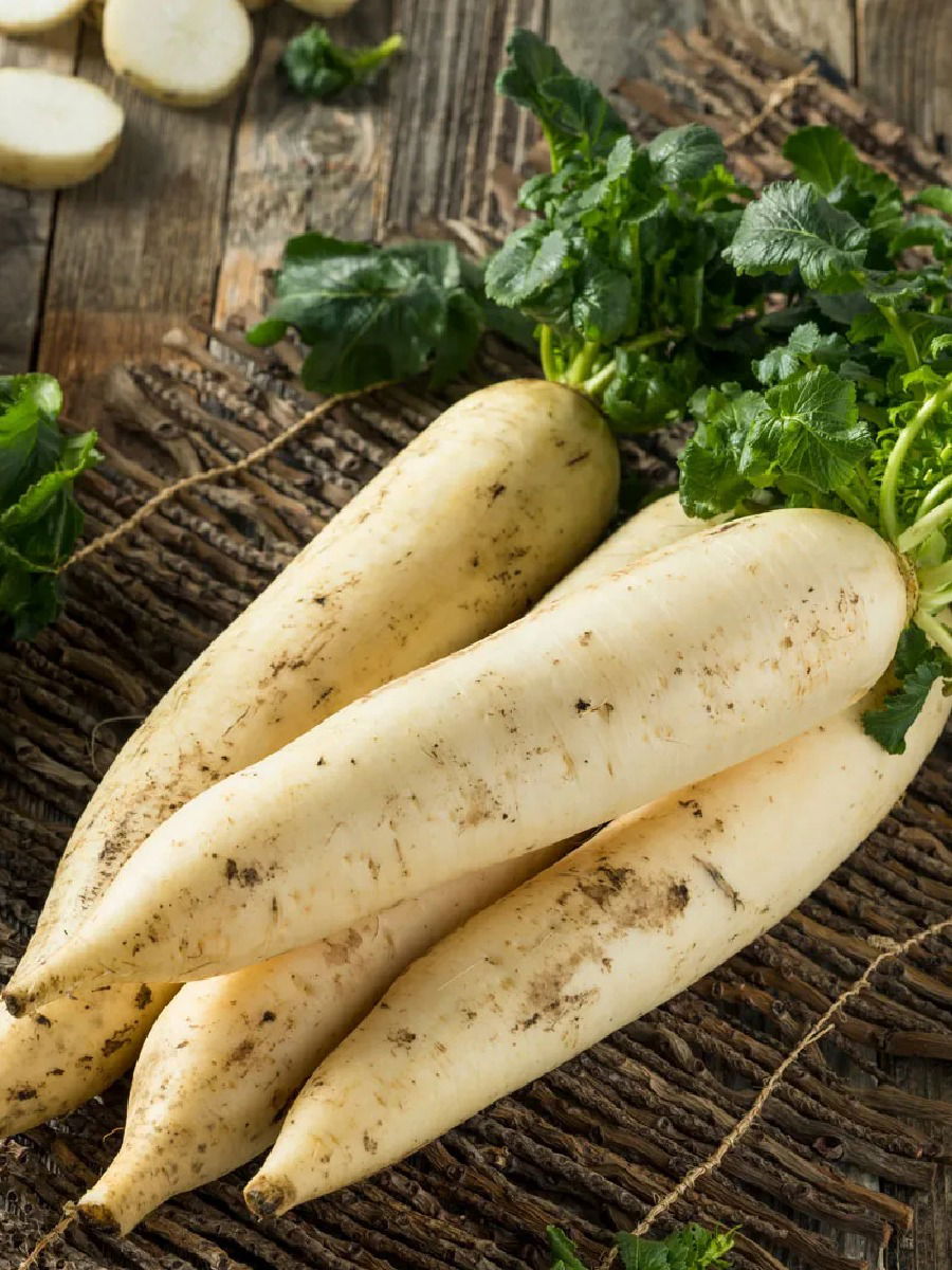 पाईल्सने त्रस्त आहात? आहारात करा मुळ्याचा समावेश - Marathi News | पाईल्सने त्रस्त आहात? आहारात करा मुळ्याचा समावेश | Latest Photos at Lokmat.com