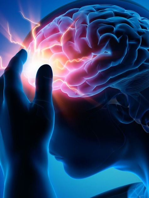 मेंदूच्या आरोग्यासाठी आवश्यक पोषक तत्वे - Marathi News | मेंदूच्या आरोग्यासाठी आवश्यक पोषक तत्वे | Latest Photos at Lokmat.com