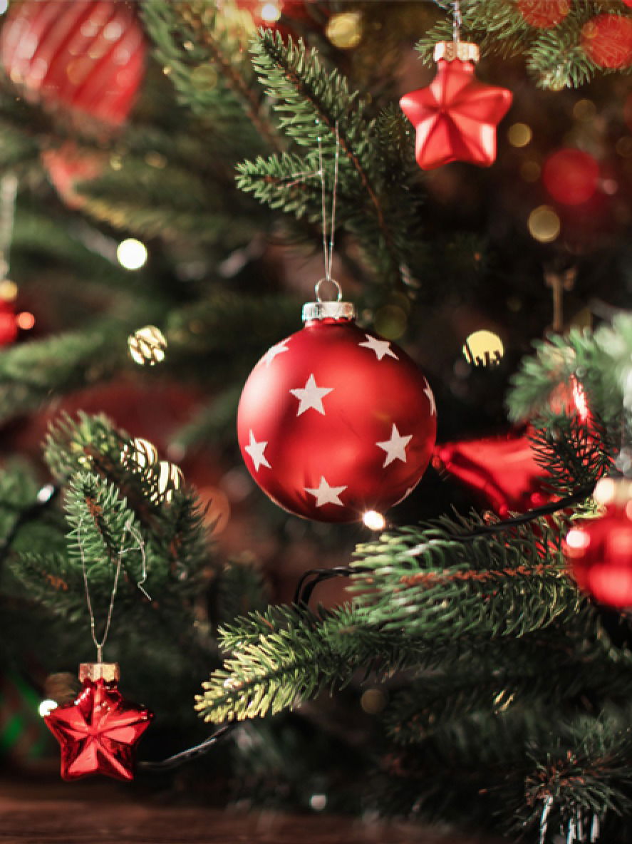 क्रिसमसमध्ये लाल आणि हिरवा रंग का आहे महत्त्वाचा? - Marathi News | क्रिसमसमध्ये लाल आणि हिरवा रंग का आहे महत्त्वाचा? | Latest Photos at Lokmat.com