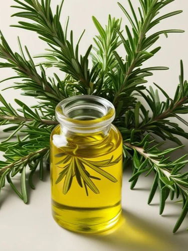 रोजमेरी  केसांसाठी कशी उपयुक्त ? - Marathi News | रोजमेरी  केसांसाठी कशी उपयुक्त ? | Latest Photos at Lokmat.com