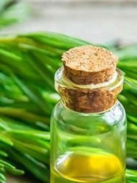 रोजमेरी तेल लावल्याने केसांना मिळणारे ५ फायदे - Marathi News | रोजमेरी तेल लावल्याने केसांना मिळणारे ५ फायदे | Latest Photos at Lokmat.com रोजमेरी तेल लावल्याने केसांना मिळणारे ५ फायदे - Marathi News | रोजमेरी तेल लावल्याने केसांना मिळणारे ५ फायदे | Latest Photos at Lokmat.com