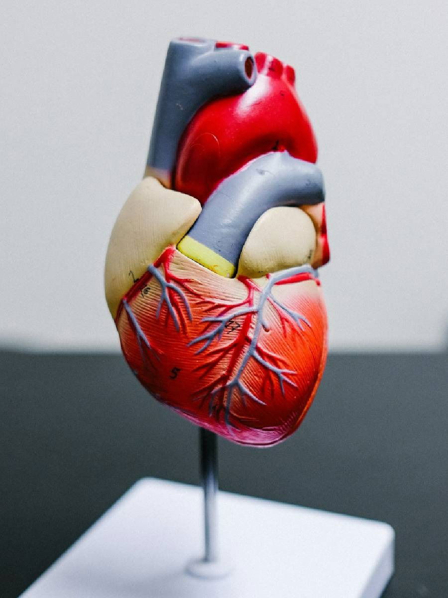 तुमचे हृदय निरोगी ठेवण्यासाठी ही ५ योगासन करा - Marathi News | तुमचे हृदय निरोगी ठेवण्यासाठी ही ५ योगासन करा | Latest Photos at Lokmat.com