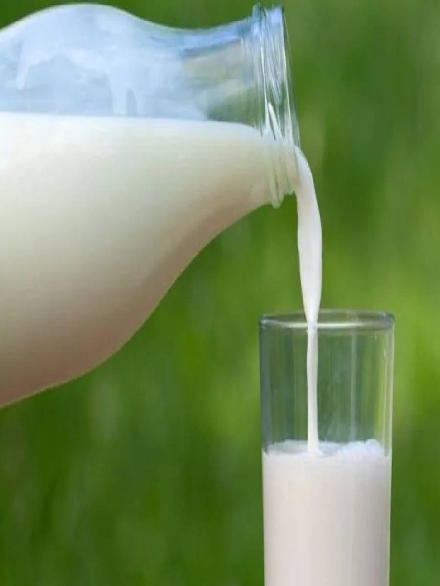 पाश्चराईज्ड दूध म्हणजे काय? प्रक्रिया जाणून घ्या - Marathi News | पाश्चराईज्ड दूध म्हणजे काय? प्रक्रिया जाणून घ्या | Latest Photos at Lokmat.com