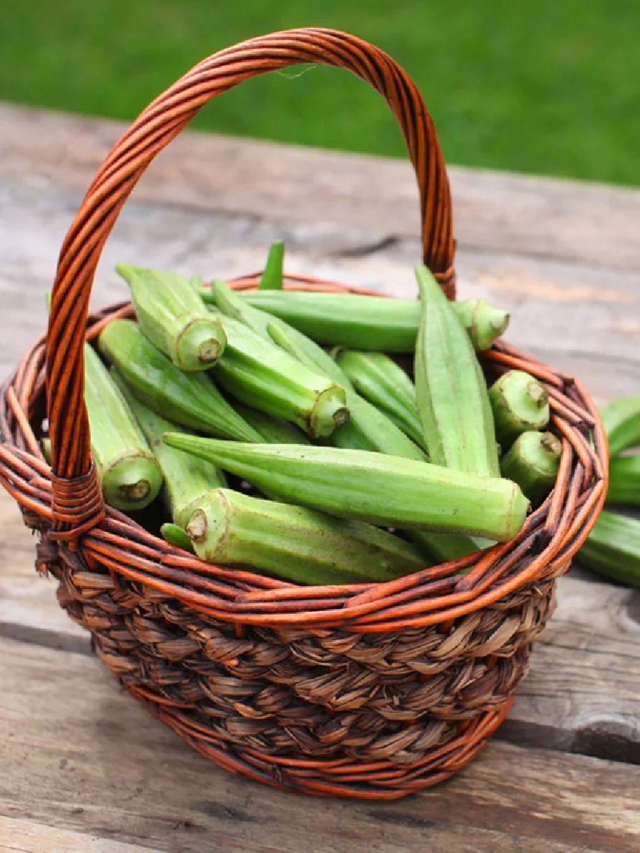 हिवाळ्यात भेंडीची भाजी खाताय? मग आधी हे वाचा - Marathi News | हिवाळ्यात भेंडीची भाजी खाताय? मग आधी हे वाचा | Latest Photos at Lokmat.com