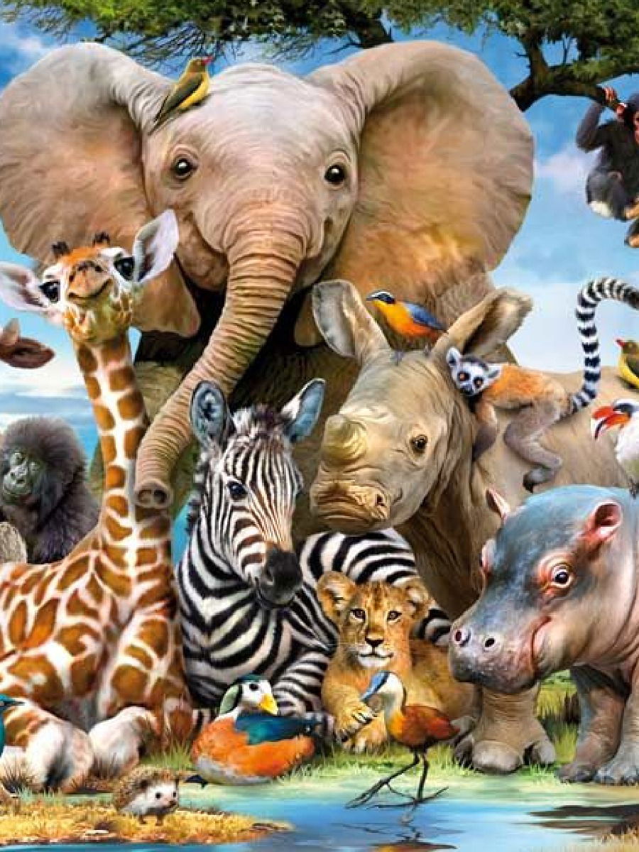 आयुष्यभरासाठी यांचा एकच जाेडीदार - Marathi News | आयुष्यभरासाठी यांचा एकच जाेडीदार | Latest Photos at Lokmat.com