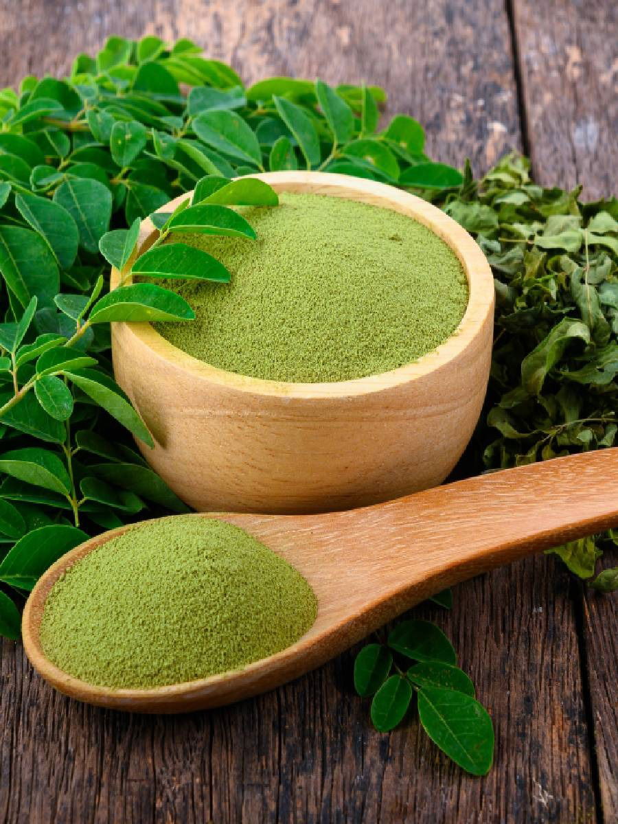 मोरिंगा पावडरचे फायदे आणि ते खाण्याची योग्य पद्धत - Marathi News | मोरिंगा पावडरचे फायदे आणि ते खाण्याची योग्य पद्धत | Latest Photos at Lokmat.com