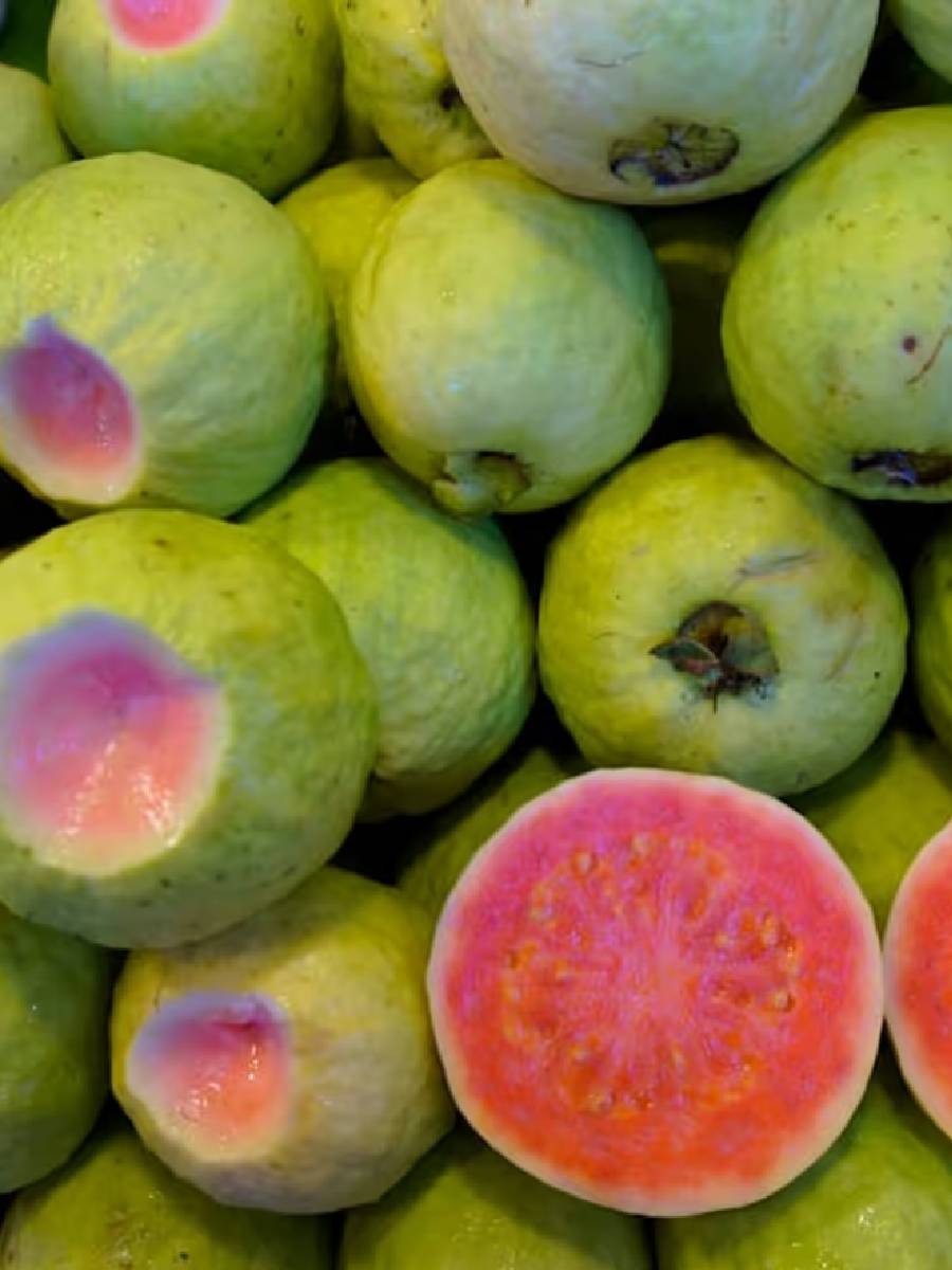 पेरू खाण्याचे अनेक आहेत फायदे; जाणून घ्या - Marathi News | पेरू खाण्याचे अनेक आहेत फायदे; जाणून घ्या | Latest Photos at Lokmat.com