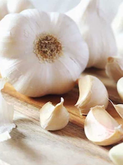 रोज लसूण खाण्याचे फायदे - Marathi News | रोज लसूण खाण्याचे फायदे | Latest Photos at Lokmat.com