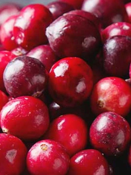 केकवर लावलेली लालचुटुक 'क्रेनबेरी' खाण्याचे ७ फायदे... - Marathi News | केकवर लावलेली लालचुटुक 'क्रेनबेरी' खाण्याचे ७ फायदे... | Latest Photos at Lokmat.com