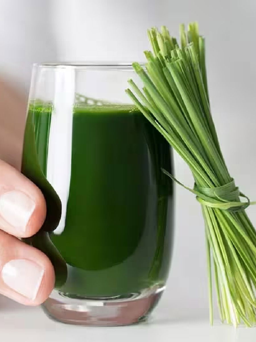 गव्हांकुराचा रस पिण्याचे फायदे - Marathi News | गव्हांकुराचा रस पिण्याचे फायदे | Latest Photos at Lokmat.com