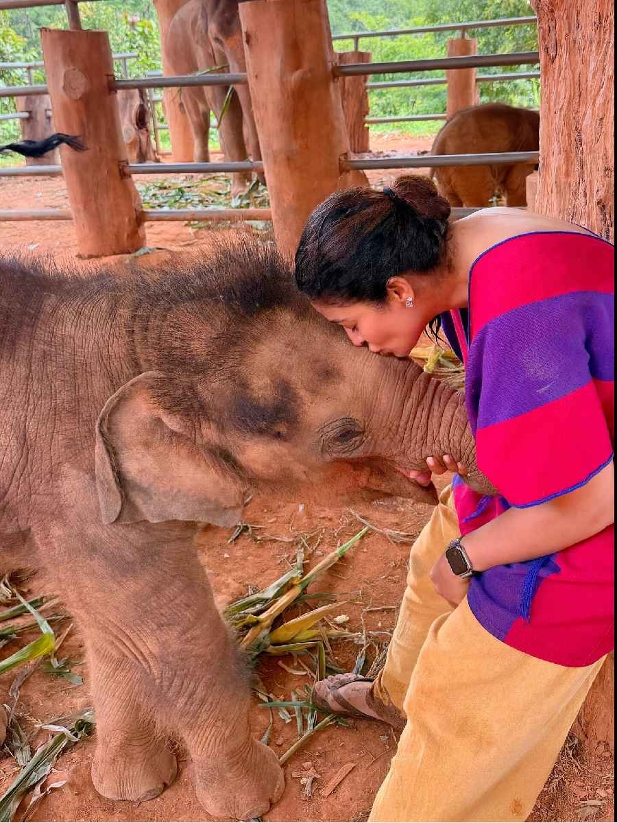 थायलंडच्या एलिफंट व्हिलेजमध्ये पोहोचली मराठी अभिनेत्री - Marathi News | थायलंडच्या एलिफंट व्हिलेजमध्ये पोहोचली मराठी अभिनेत्री | Latest Photos at Lokmat.com