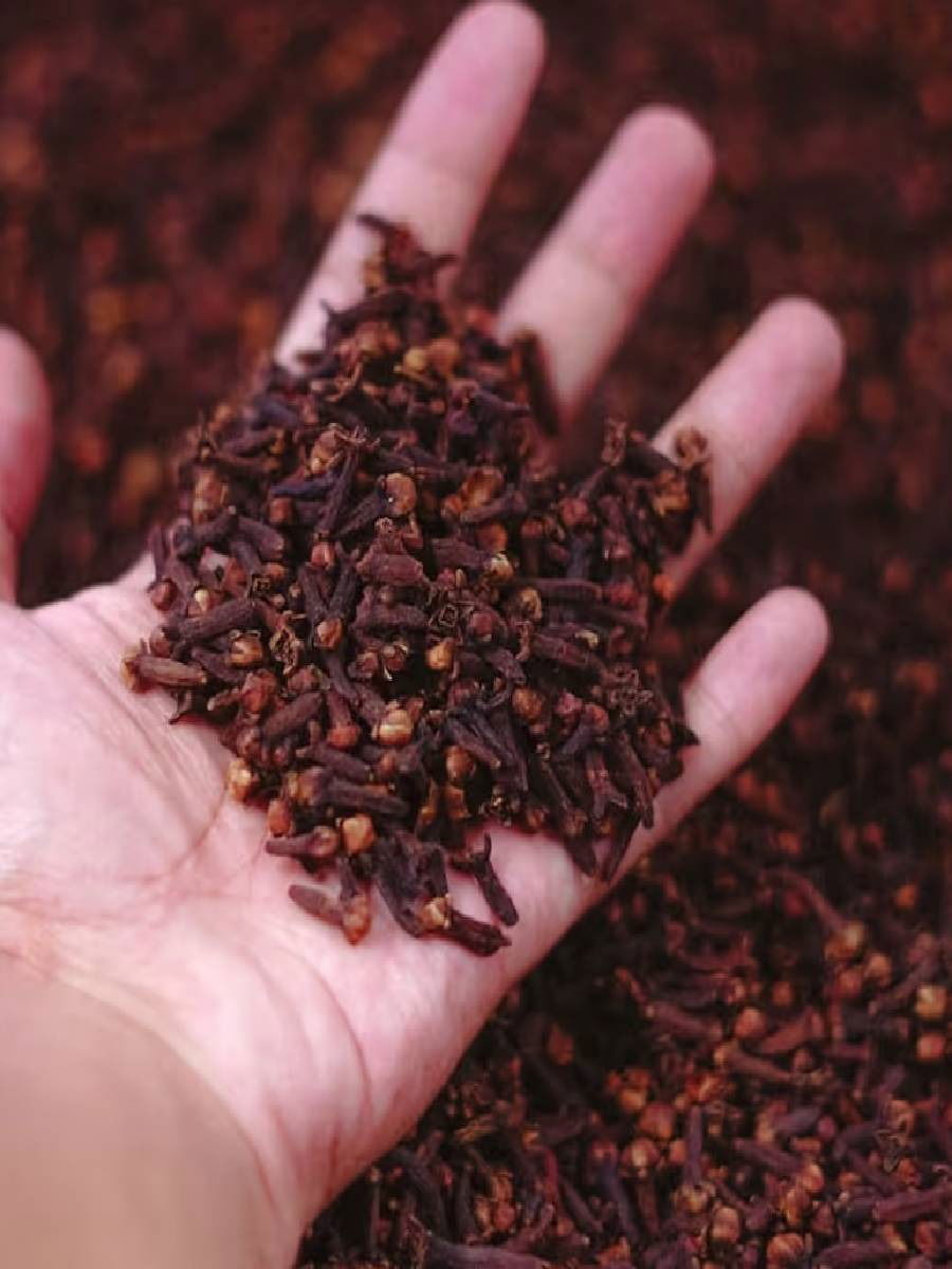 लवंगाचे पाणी गर्भधारणेसाठी कसे मदत करते? - Marathi News | लवंगाचे पाणी गर्भधारणेसाठी कसे मदत करते? | Latest Photos at Lokmat.com