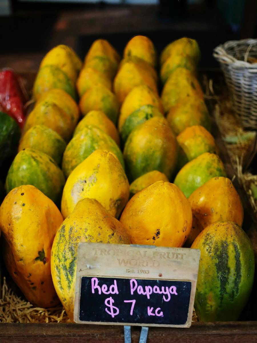 या गोष्टींसोबत पपई खाऊ नका - Marathi News | या गोष्टींसोबत पपई खाऊ नका | Latest Photos at Lokmat.com