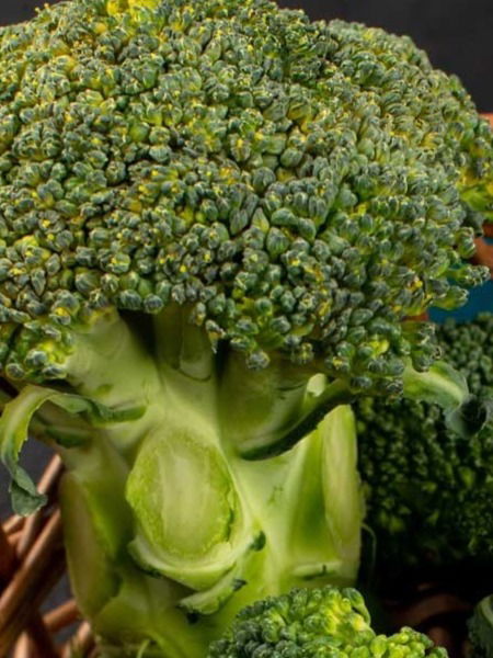 ब्रोकोली खाण्याची 'हीच' योग्य पद्धत! चुकीची पद्धत - 'झिरो पोषण'... - Marathi News | ब्रोकोली खाण्याची 'हीच' योग्य पद्धत! चुकीची पद्धत - 'झिरो पोषण'... | Latest Photos at Lokmat.com