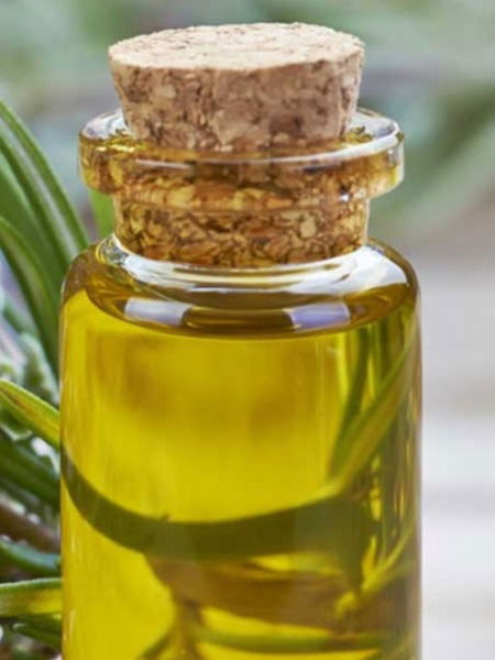 रोजमेरी ऑईलने डोक्याला मालिश करायलाच पाहिजे, कारण... - Marathi News | रोजमेरी ऑईलने डोक्याला मालिश करायलाच पाहिजे, कारण... | Latest Photos at Lokmat.com