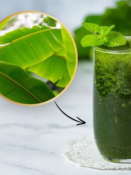 केळीच्या पानांचा ज्यूस पिण्याचे एकापेक्षा एक फायदे - Marathi News | केळीच्या पानांचा ज्यूस पिण्याचे एकापेक्षा एक फायदे | Latest Photos at Lokmat.com