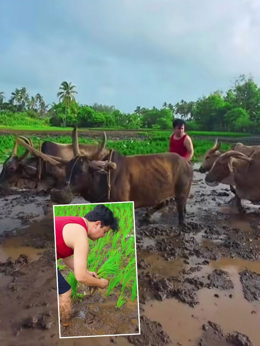 मराठमोळा अभिनेता कोकणात करतोय शेती - Marathi News | मराठमोळा अभिनेता कोकणात करतोय शेती | Latest Photos at Lokmat.com