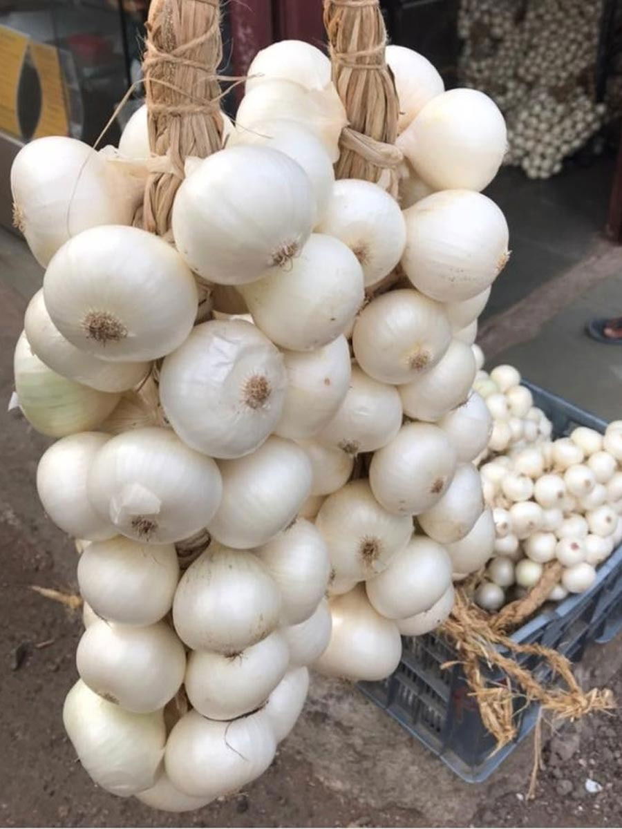 पांढरा कांदा खाण्याचे ५ फायदे - Marathi News | पांढरा कांदा खाण्याचे ५ फायदे | Latest Photos at Lokmat.com