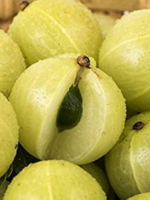 रोज आवळा खावा..आवळ्याचे जबरदस्त फायदे  - Marathi News | रोज आवळा खावा..आवळ्याचे जबरदस्त फायदे  | Latest Photos at Lokmat.com