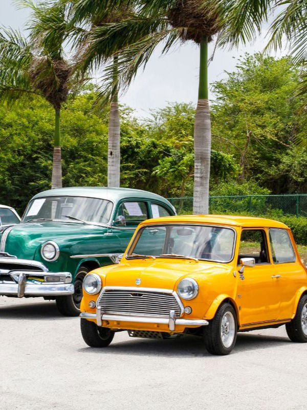 हॅचबॅक, सेडान की SUV कोणती कार बेस्ट? - Marathi News | हॅचबॅक, सेडान की SUV कोणती कार बेस्ट? | Latest Photos at Lokmat.com