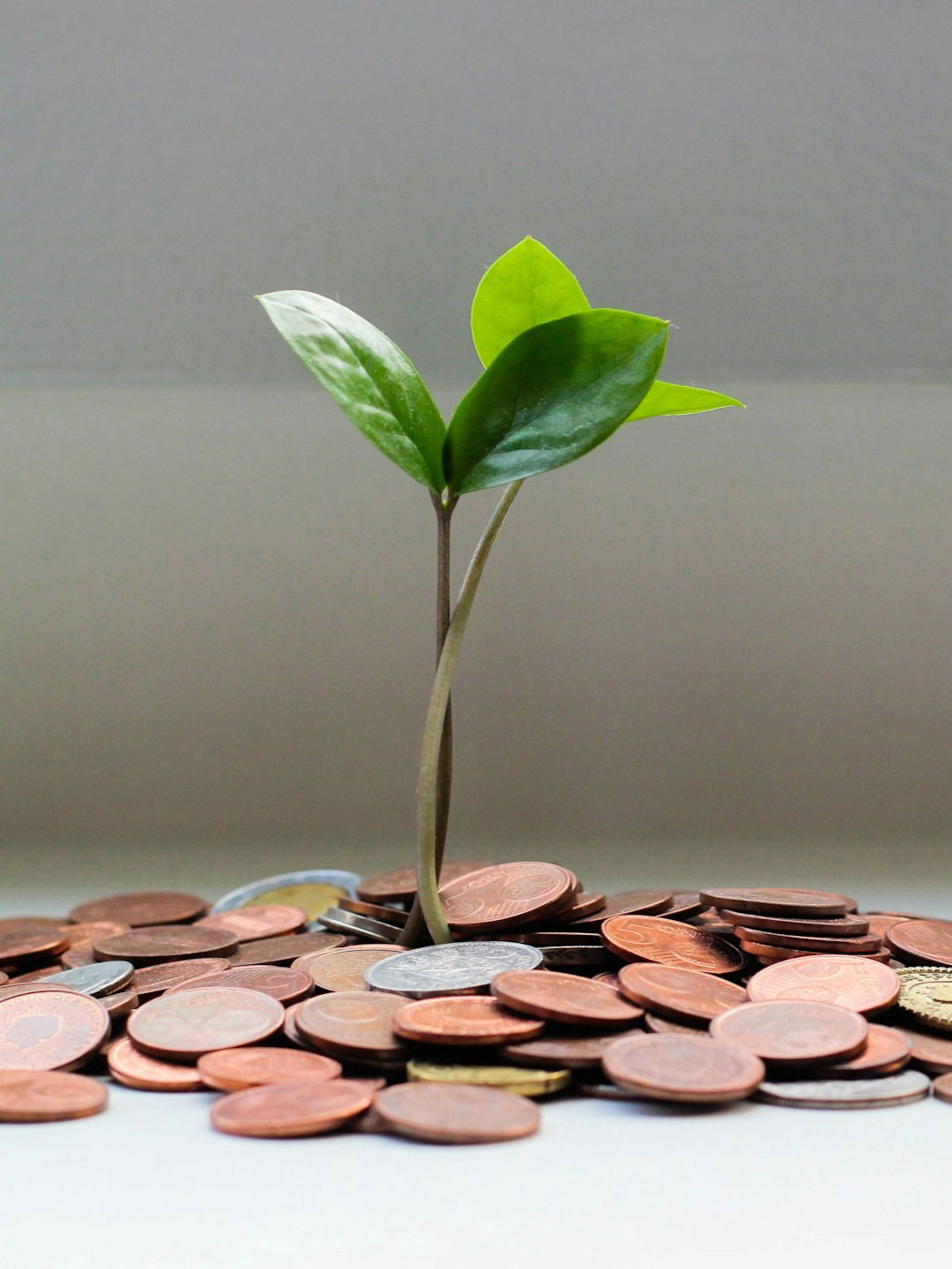 दरमहा २०,००० हजारांची गुंतवणूक २० वर्षात किती होईल? - Marathi News | दरमहा २०,००० हजारांची गुंतवणूक २० वर्षात किती होईल? | Latest Photos at Lokmat.com