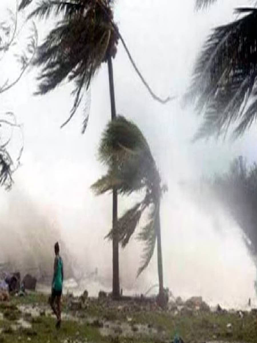 चक्रीवादळात आपण कोणती काळजी घ्यावी? - Marathi News | चक्रीवादळात आपण कोणती काळजी घ्यावी? | Latest Photos at Lokmat.com