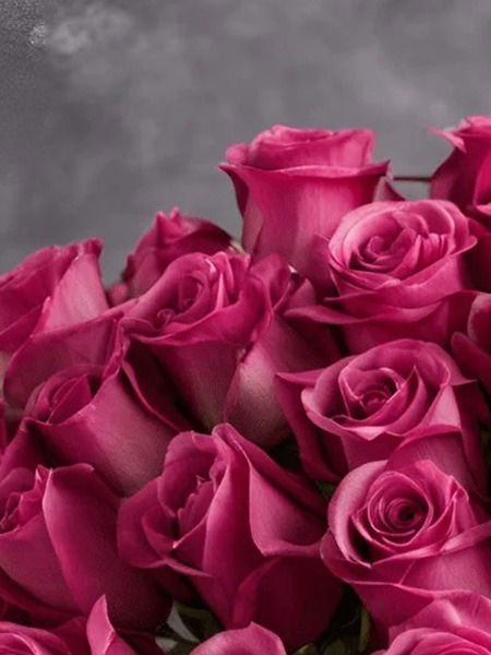 गुलाबाच्या पाकळ्यांचा 'करा' असा उपयोग, गुलाबी होईल त्वचा - Marathi News | गुलाबाच्या पाकळ्यांचा 'करा' असा उपयोग, गुलाबी होईल त्वचा | Latest Photos at Lokmat.com