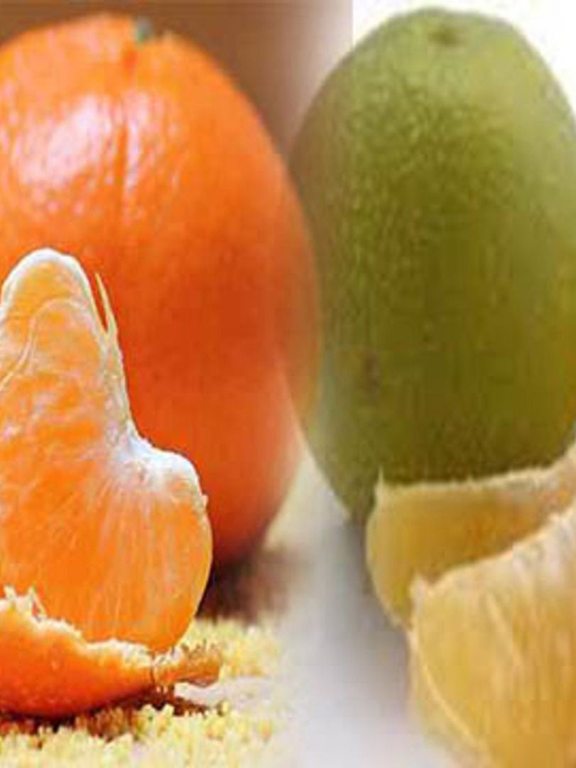 संत्री - मोसंबी खा अन् तंदुरुस्त रहा - Marathi News | संत्री - मोसंबी खा अन् तंदुरुस्त रहा | Latest Photos at Lokmat.com